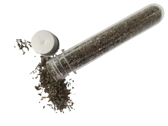 Echte Chinesische  Katzenminze 50 gramm